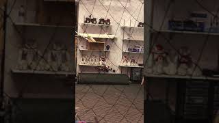 Offboard Mode Flight - Hover - Indoors