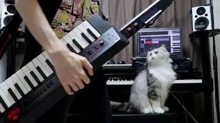 【まふまふ】すーぱーぬこになれんかった(ショルダーキーボード)で弾いてみた！