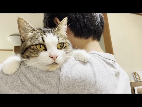 ベロが出る、ヨダレもでる猫が超かわいい