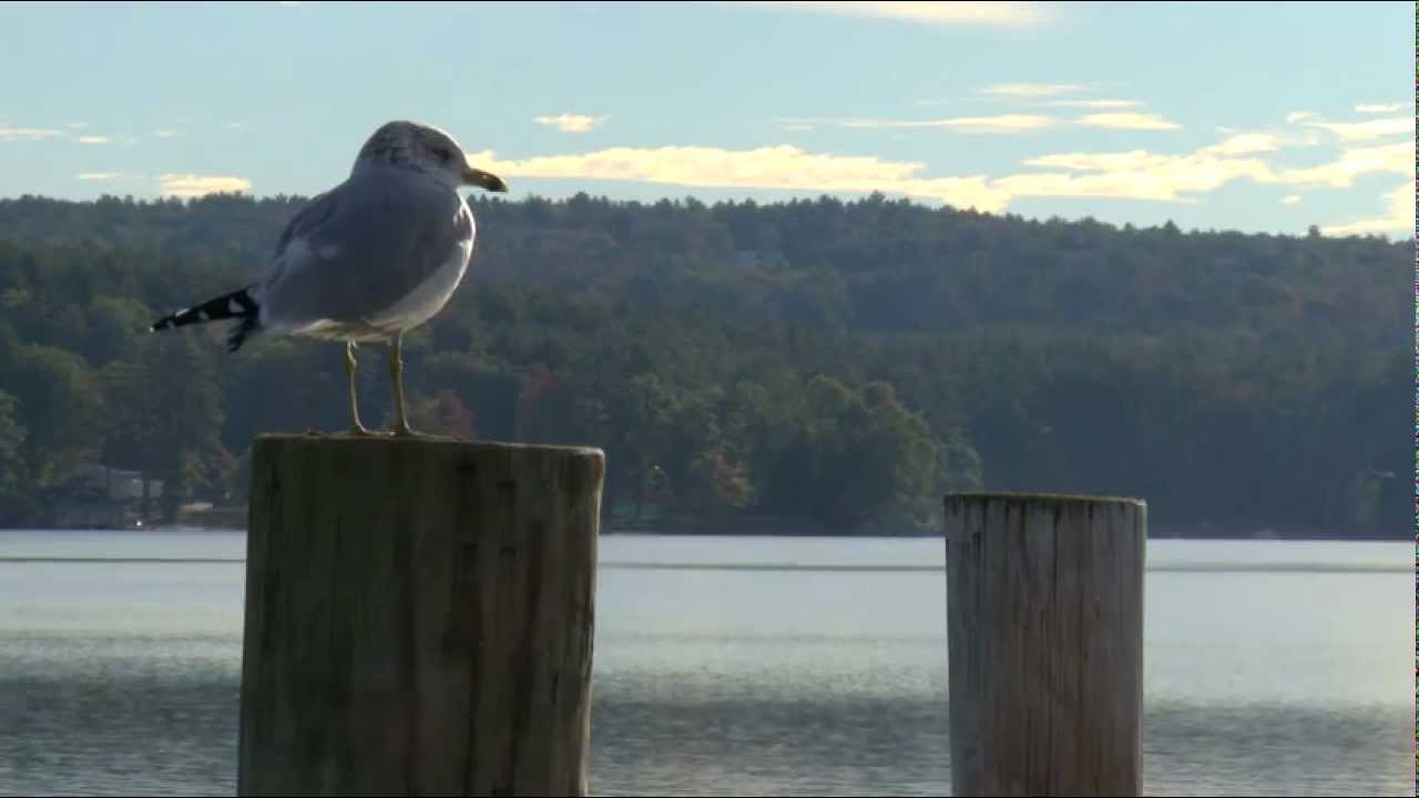 vermont ipanema Neuengland USA -- Ein Video für Reisende aus Deutschland, Österreich und der Schweiz