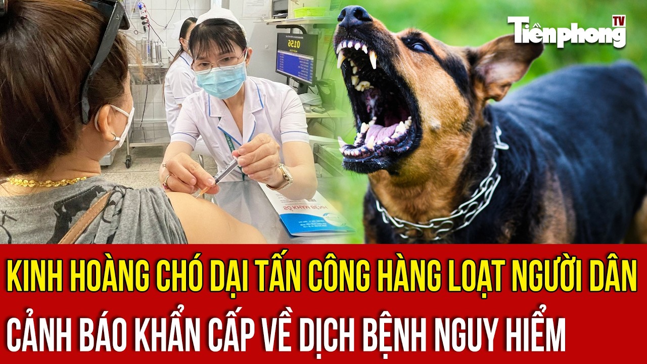 Kinh hoàng chó dại tấn công hàng loạt người dân - Cảnh báo khẩn cấp về dịch bệnh nguy hiểm