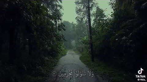 وَيَا قَوْمِ اسْتَغْفِرُوا رَبَّكُم﴾ [هود: ٥٢] #القارئ ماهر المعيقلي #قرآن #quran