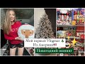 Vlogmas 2024 🎄мои первые новогодние покупки в США ✨🎅🏼