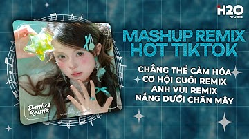 Chẳng Thể Cảm Hóa Remix, Cơ Hội Cuối Remix ♫ Kể Từ Ngày Đổ Vỡ Anh Vội Xóa Hết Đi Mộng Mơ Remix