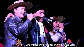 Video thumbnail of "CHAQUEÑO PALAVECINO EN VAINAS DE ORO mp4"