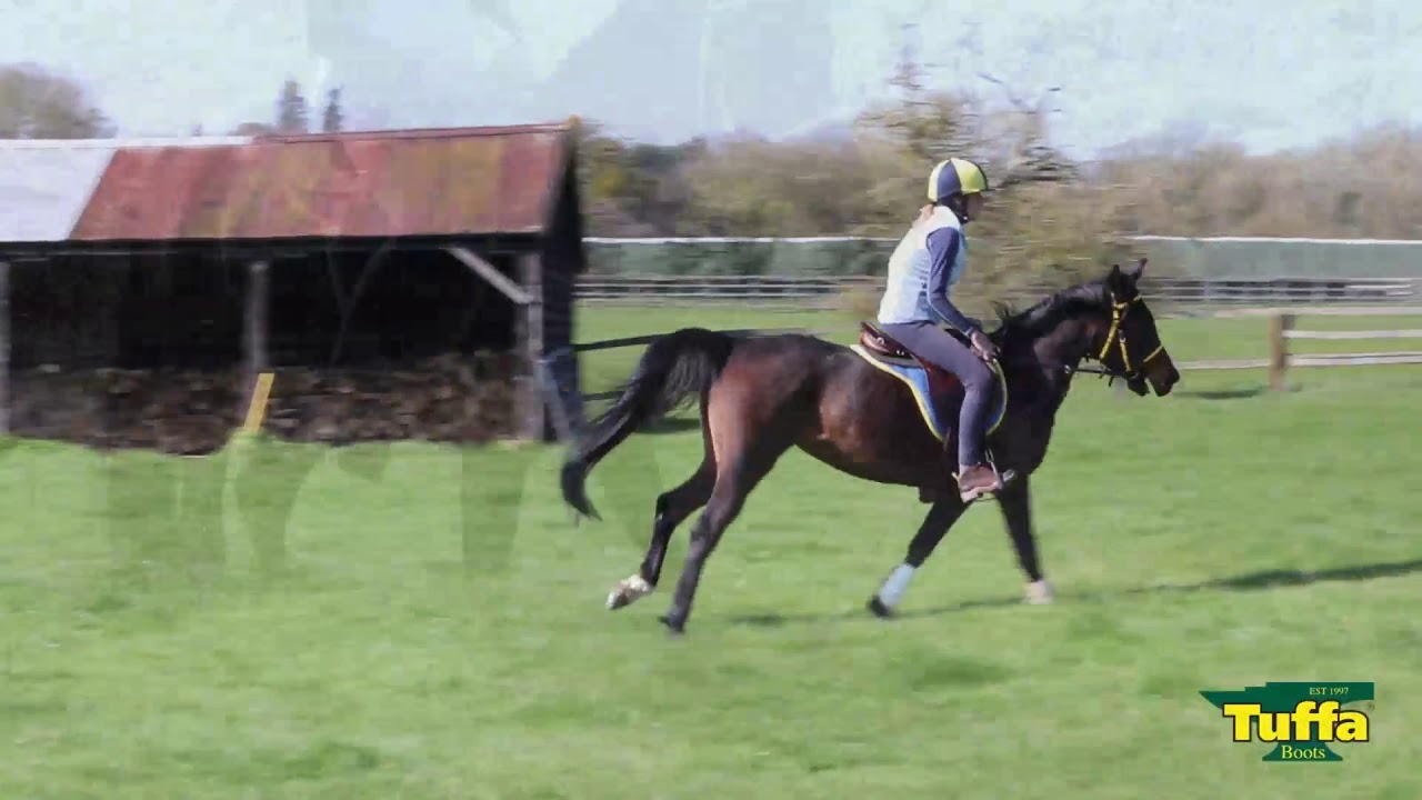 endurance riding boots