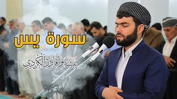 تلاوة  مريحة و هادئة من سورة يس للقارئ بيشةوا قادر الكردى #رمضان_2019