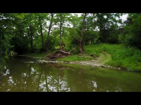 1250 Clarks Cr Rd, Dry Ridge, KY home video tour