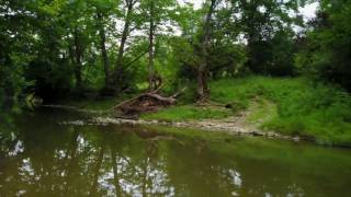 1250 Clarks Cr Rd video tour