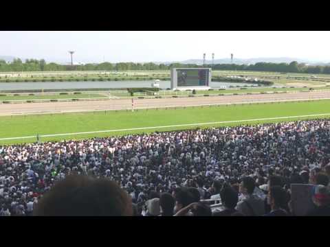 【２０１７天皇賞春】現地の人数が凄過ぎ…