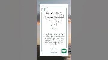 سورة النحل أية (٦٦) #نرتقي_بالتعلم
