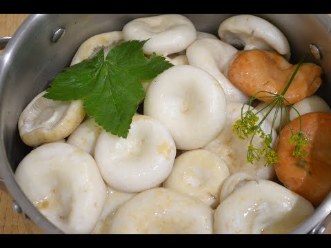 Как вкусно посолить сухие грузди в домашних условиях вкусно