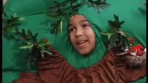 Tree-Mendous Trees! Part 1 (Season 4, Episode 14)