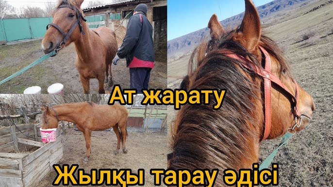 Үнді порно секс Айшвария Рай Жалаңаш Тила Текила бейне онлайн