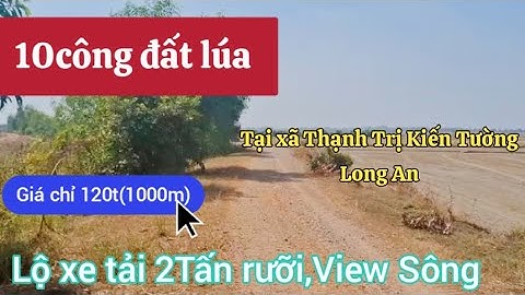 Chào bán 10công đất lúa Giá chỉ 120tr(1000m) Tại Thạnh Trị Kiến Tường Long An #bdslongan