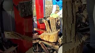 Log Splitter vs Acacia