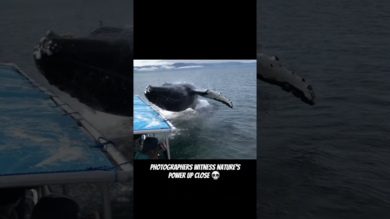 Imagine seeing this🤯   