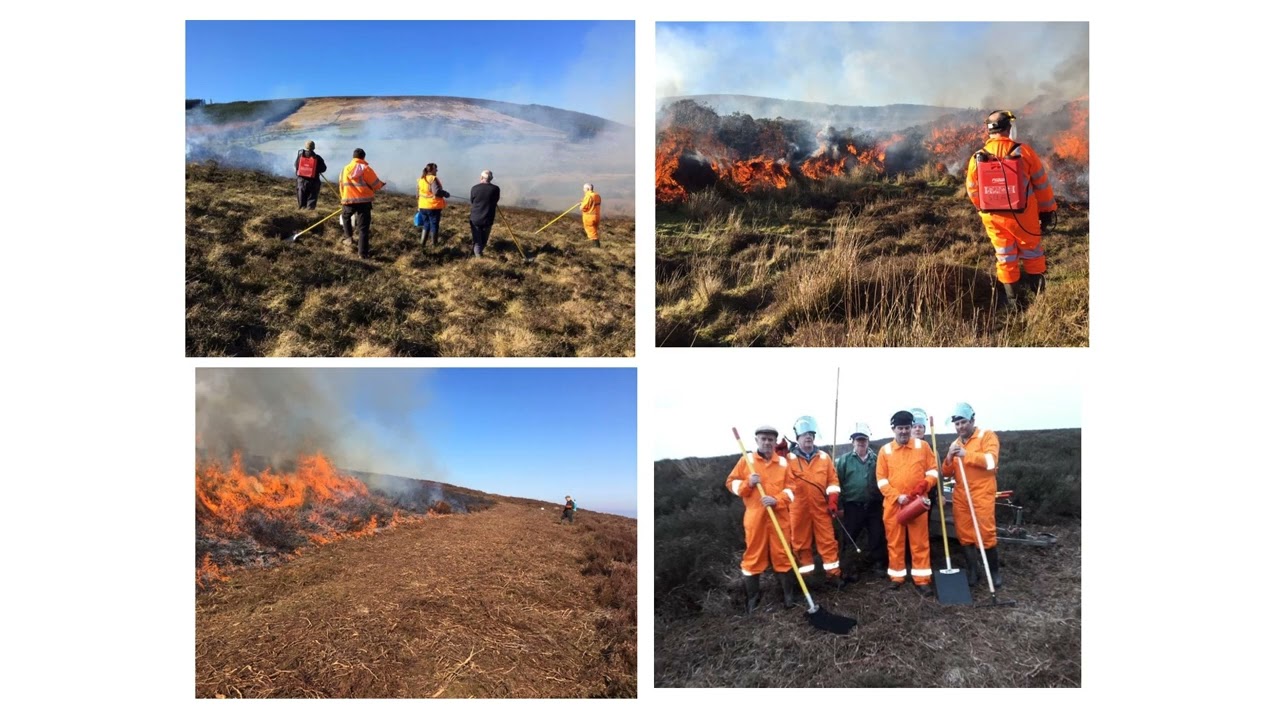 Farming in the Uplands Declan Byrne