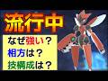 現在激アツのメガハッサムを徹底研究する対戦動画【ポケモンチャンピオンズ S1-7】