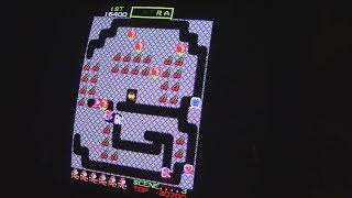 Famous Last Credit - Mr. Do! (Taito Version) with Easter Eggs! (255 lives trick) Net Worth