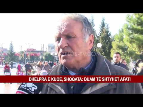 Video: Dhelpra e zakonshme: përshkrim, foto, klasifikim