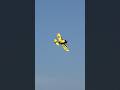 Gee Bee Racer の着陸