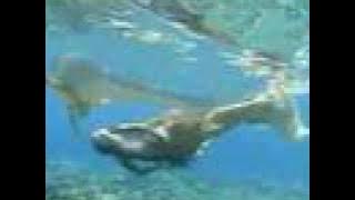 Marian Rivera as Dyesebel