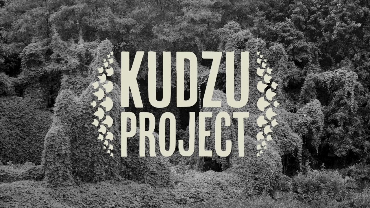 Welcome to the Kudzu Project
