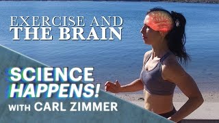 Science Happens! | Episode 9 | Exercise and the brain