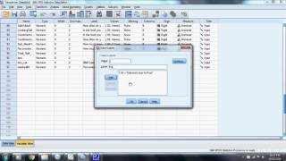 HUEC 2002- Research Assignment SPSS Part 4
