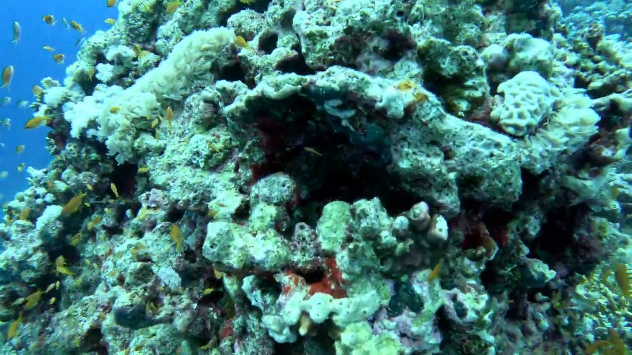 2026 m. sausio 18 d.