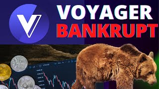 VOYAGER Files for Bankruptcy Chapter 11