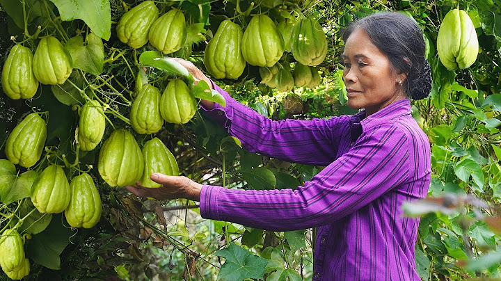 Tết về đi con, về ăn bữa cơm nhà mẹ nấu là hạnh phúc nhất trên đời I Ẩm Thực Mẹ Làm