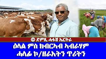 ዕላል ምስ ክብረኣብ ኣብራሃም-DimTsi Hafash Eritrea/ድምጺ ሓፋሽ ኤርትራ