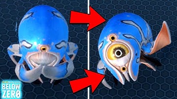 *NEW* TRIVALVE GROUND Animations! || Subnautica Below Zero