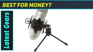 Tascam TM-80: The Best Budget Condenser for Streaming & Vocals?