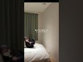 韓国1泊2日詰め込み旅#韓国旅行#旅行vlog