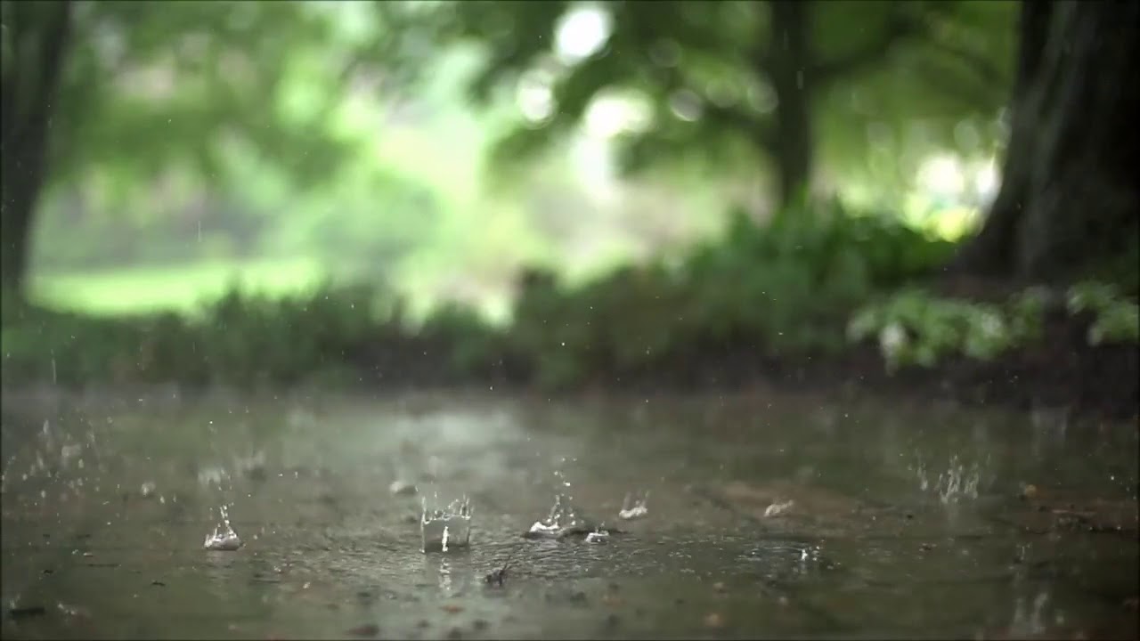 Videos HD 4K ULTRA HD NATURE  RAIN SLOW MOTION