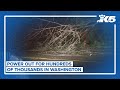 Hundreds of thousands without power around western Washington