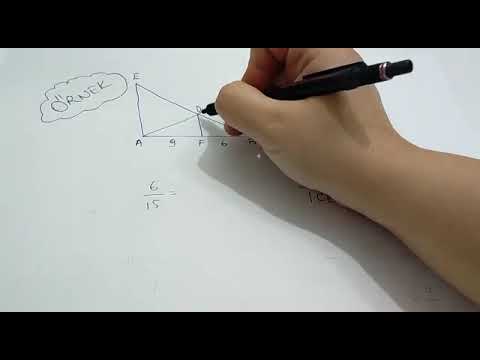 9.sınıf Matematik Temel Orantı Teoremi