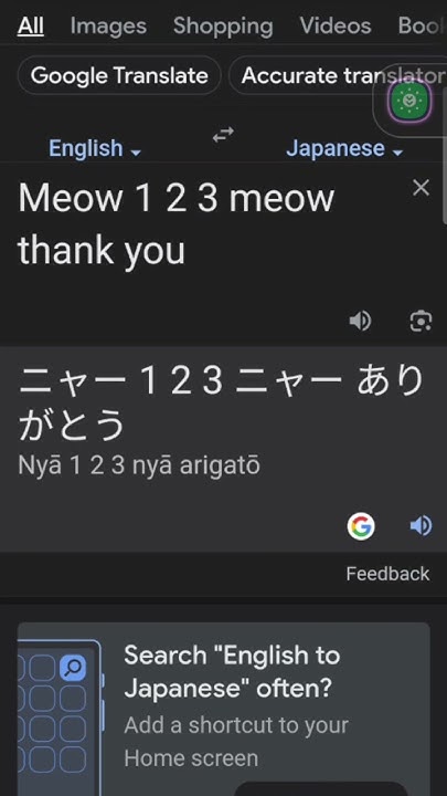 Meow 123 Meow Thank You In Japanese