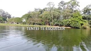 Matogrosso e Mathias / tentei te esquecer (cover Petronio Rosa) #modão
