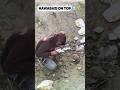 HAVABAAJI ON TOP #funnymoments #bhandara #funnyseen #comedyshorts #viralshorts #youtubeshorts #reel