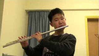 Practicing Telemann - 2nd movement ~ Allegro
Too slow... :( Practicing Telemann - 2nd movement ~ Allegro