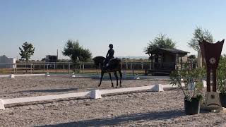 Campeonato Nacional Dressage - Nicole e Habil de Sena