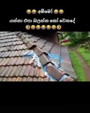 story'wa jatuh dari genteng 😂