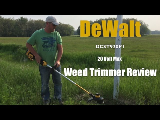 dewalt 20 volt trimmer