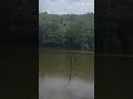 Reserva Ecológica de Guapiaçu (REGUA), localizada em Cachoeiras de Macac Rj