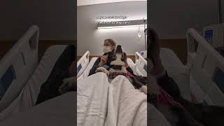 any other handlers do this too?? #servicedog #workingdog #servicedoglife #cutedog #workingdog