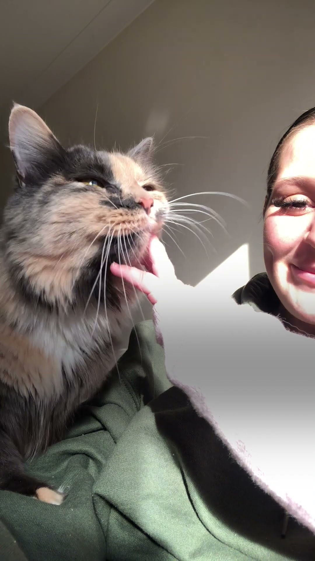 Kitten Is Obsessed With Mom's Baby Bump | The Dodo